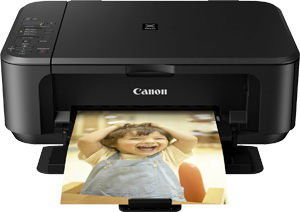 Canon MG2250 Ink Cartridges 